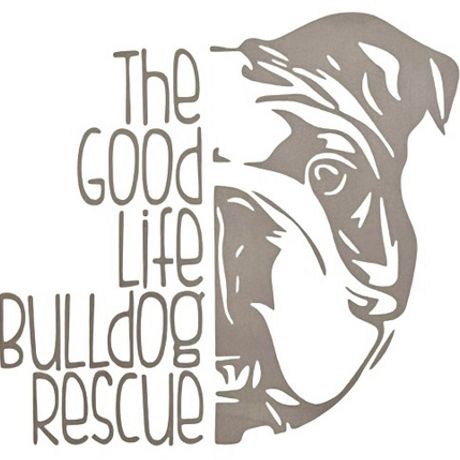 The Good Life Bulldog Rescue profile image