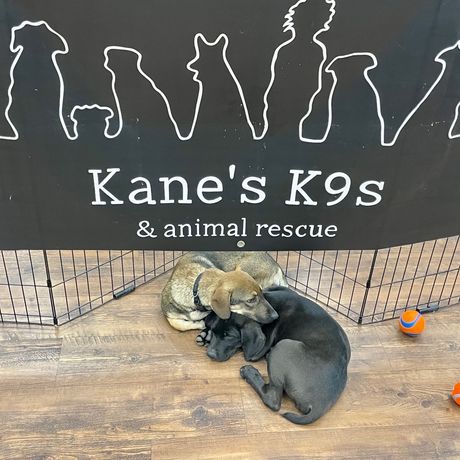kanes rescue