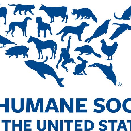 The Humane Society of the US profile image