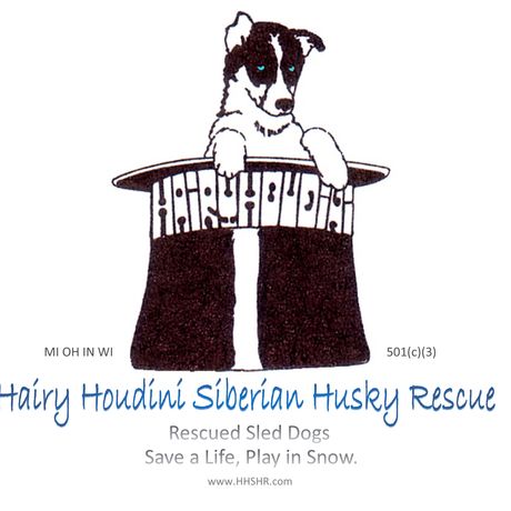 Hairy Houdini Siberian Husky Rescue profile image