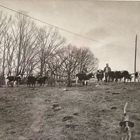 Carroll County Heritage Digitizing Organization profile image
