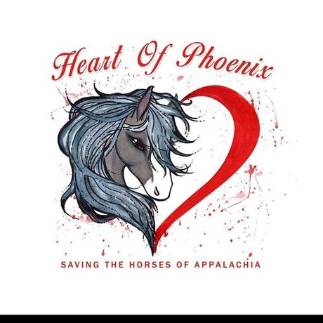 Heart Of Phoenix Equine Rescue profile image