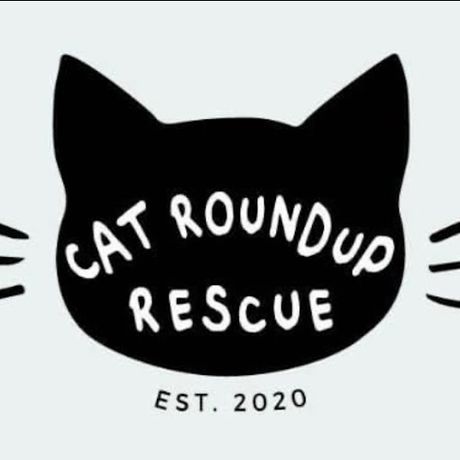 Cat Roundup Rescue