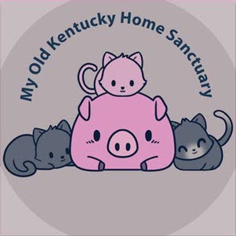 My Old Kentucky Home Sanctuary profile image