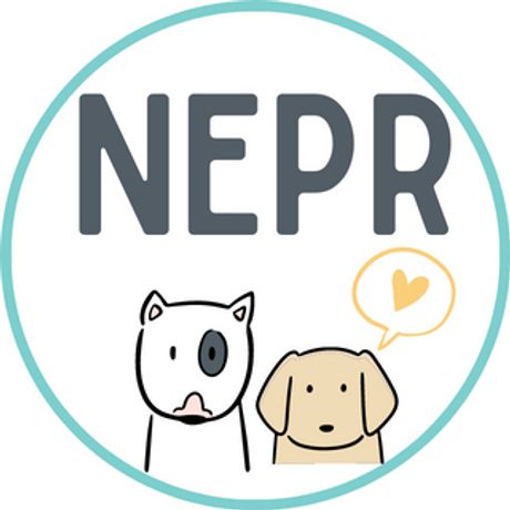 New England Puppy Rescue