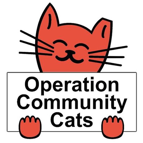 Operation Community Cats profile image