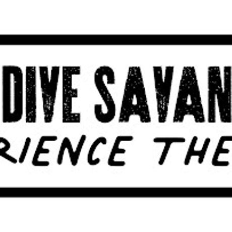 the dive savannah