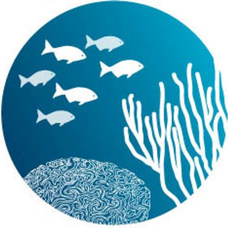 Friends of Our Florida Reefs, Inc. profile image