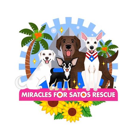 Miracles for Satos Rescue