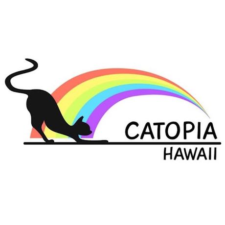 CATOPIA HAWAII