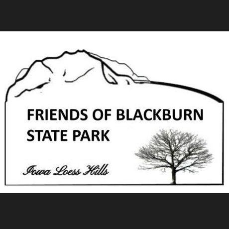 The Green Hollow Center Inc DBA Friends of Blackburn SP profile image