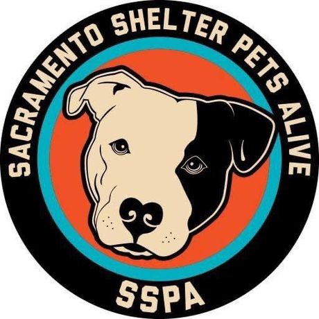 Sacramento Shelter Pets Alive profile image